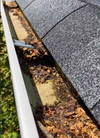 Buffalo gutter clogged with wet leaves and standing water, a common cause of ice dams in winter