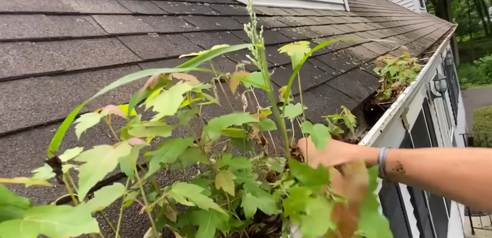 Buffalo Gutter Shield gutter cleaning work on a Cheektowaga, NY property