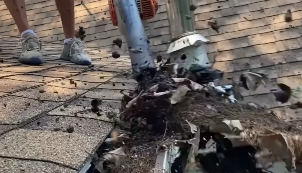 Buffalo Gutter Shield technician clearing debris from a clogged gutter and downspout on a Buffalo, NY roofline