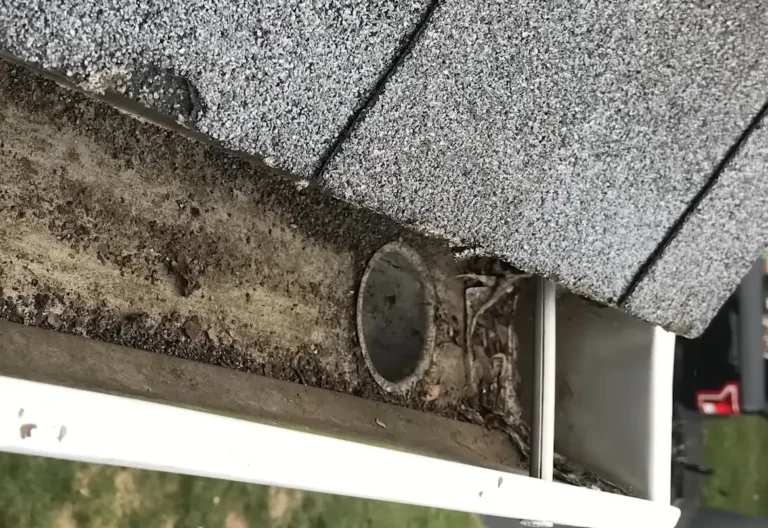 Icicles and an ice dam along a roof edge and gutter in Buffalo, NY