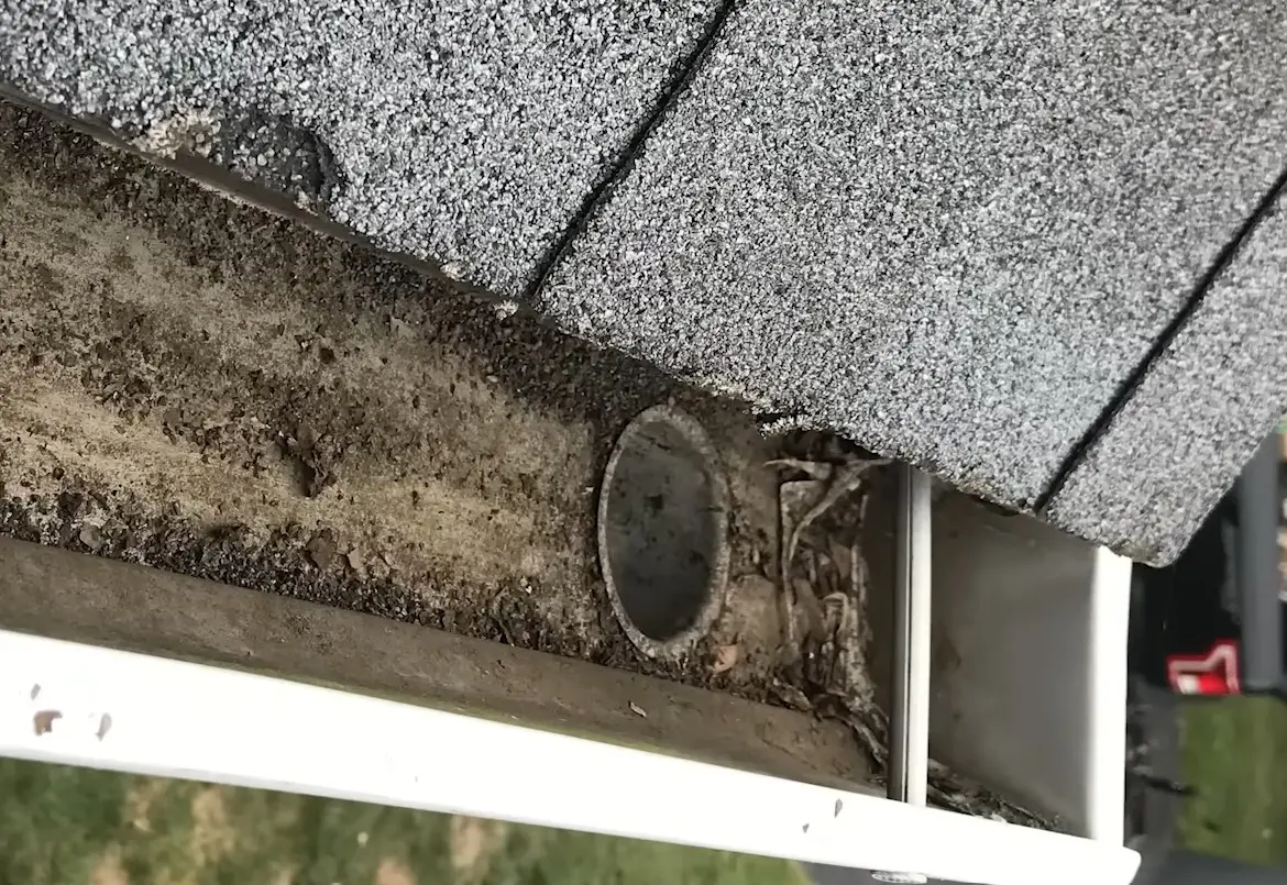 Clogged gutter before cleaning on a two-family home in West Side Buffalo
